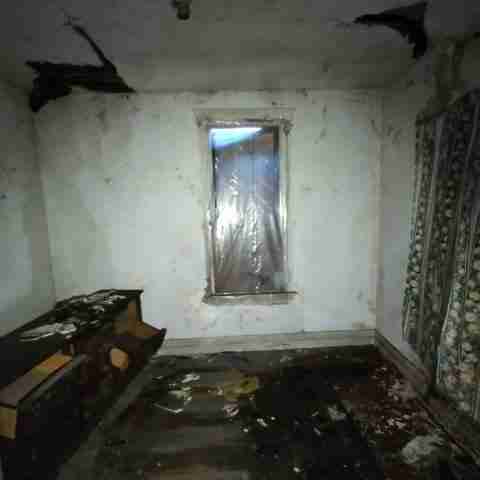 8031 conger (19).jpg